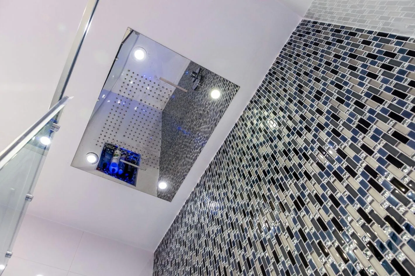 Shower Head